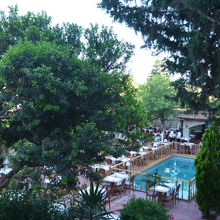 Hotel Curcuna