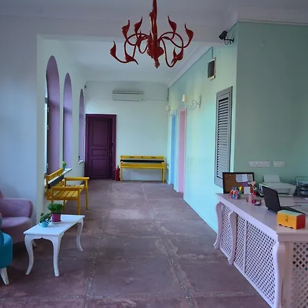 Hotel Curcuna